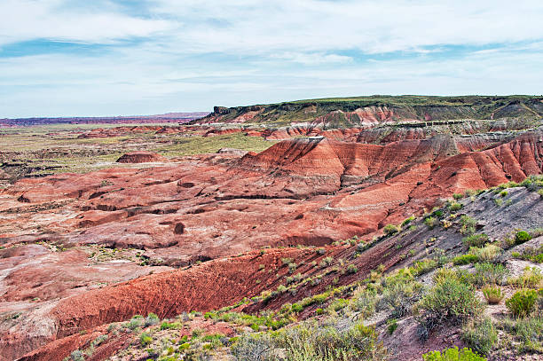 istock Painted Desert in Arizona 7 480137008