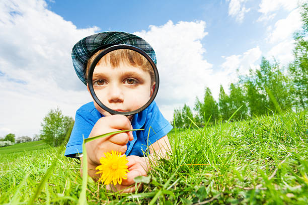 istock Small boy with magnifier and yellow flower 480137612