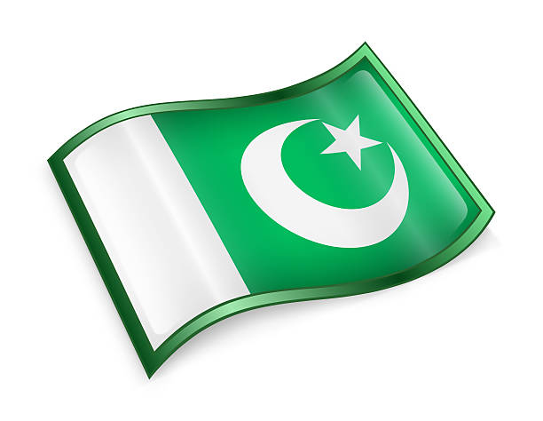 pakistanische flagge symbol isoliert auf weißem hintergrund. - government computer icon glass shiny stock-grafiken, -clipart, -cartoons und -symbole
