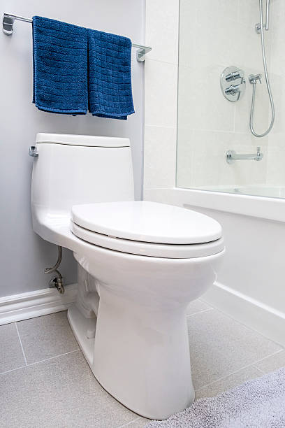 istock Close-up of a White Toilet 480139585