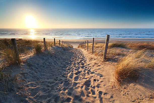 camino a la playa de arena en el mar del norte - sunset sea tranquil scene sunrise fotografías e imágenes de stock