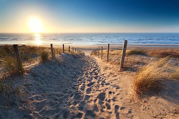 istock path to sand beach in North sea 480140435