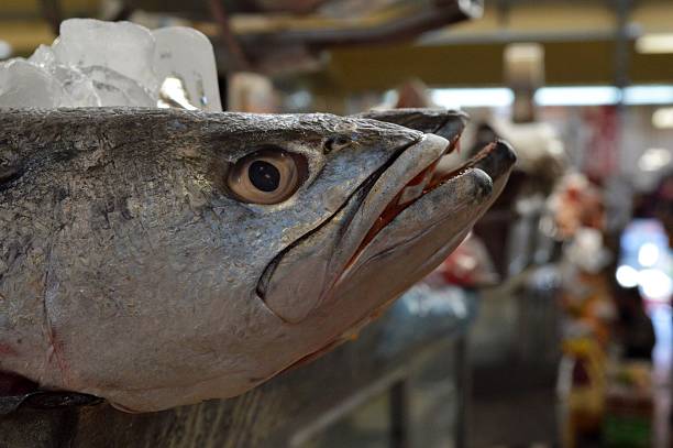 istock Fish displayed at traditional mexican market 480140505
