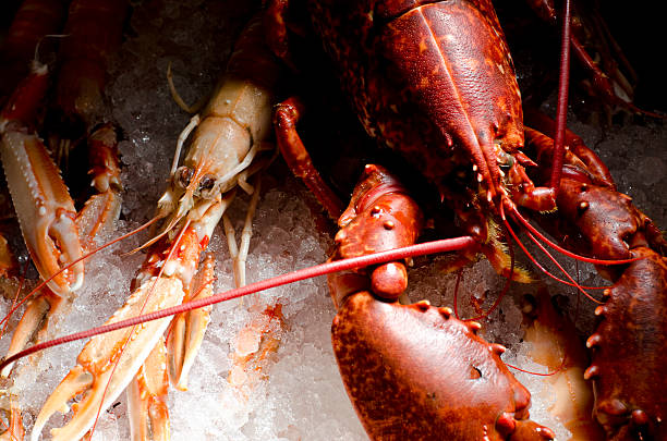 istock lobster with langoustine on crushed ice 480141236