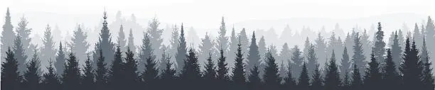 Vector illustration of Fir tree forest panorama