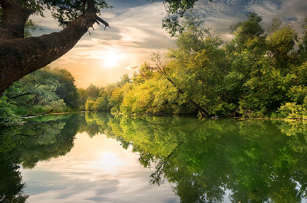 закат на реке - lake pond stream water стоковые фото и изображения