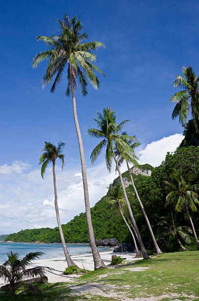 istock Angthong National Park near Koh Samui Thailand 480144912