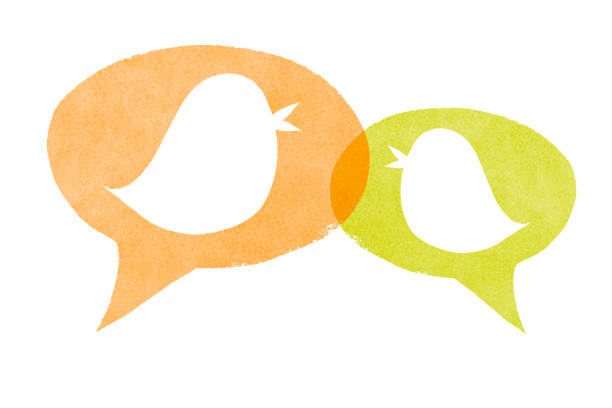 istock Birds with Orange and Green Speech Bubbles 480144997
