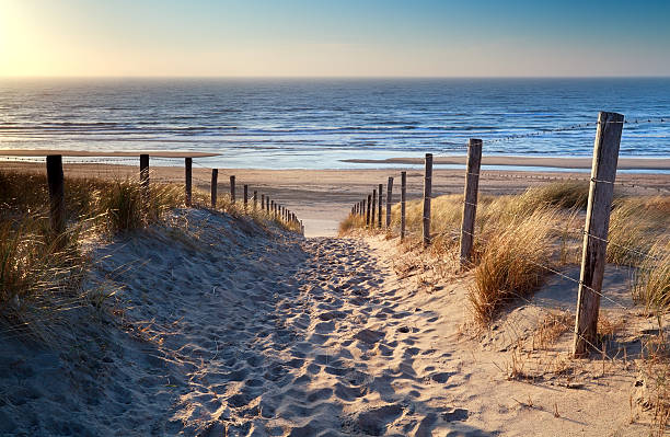 istock path to North sea beach in gold sunshine 480146215