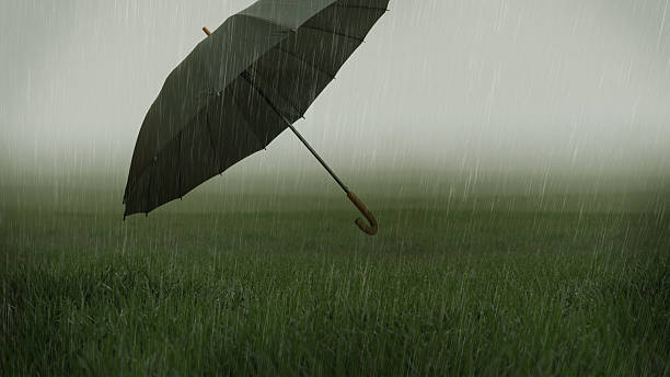 istock Foggy grassy field with heavy rain and flying umbrella 480146851