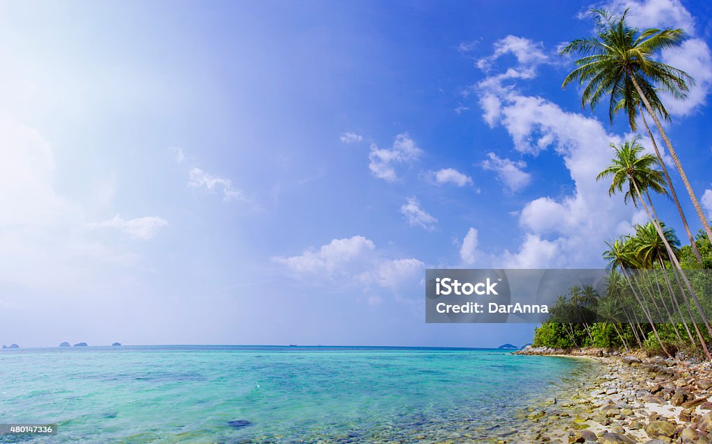 Palm tree with sunny day. Koh Samui. Taling Ngam Beach 2015 Stock Photo