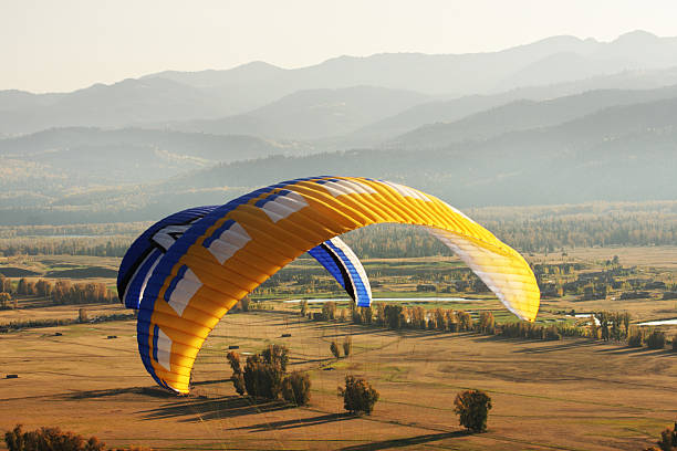 급증하는 윙즈 paragliders - extreme sports air sport recreational pursuit ultralight 뉴스 사진 이미지