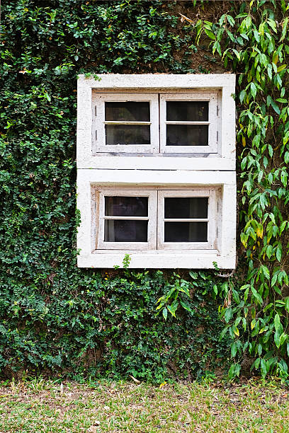 istock wooden Window on the green wall 480151617