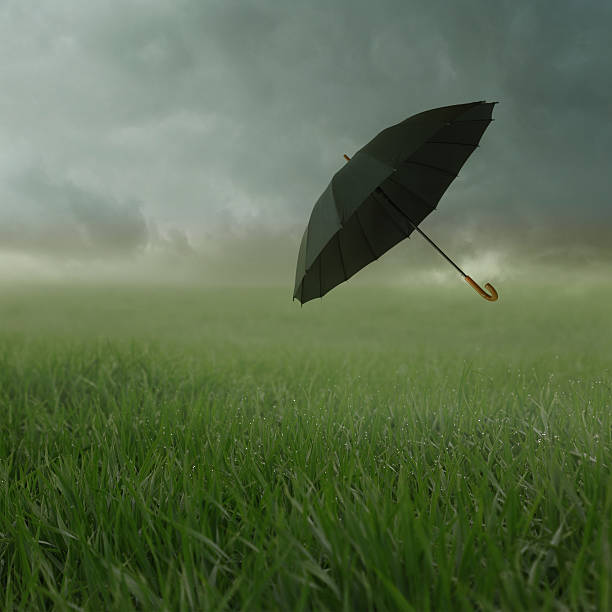 istock Cloudy landscape with umbrella carried away by the wind 480153957
