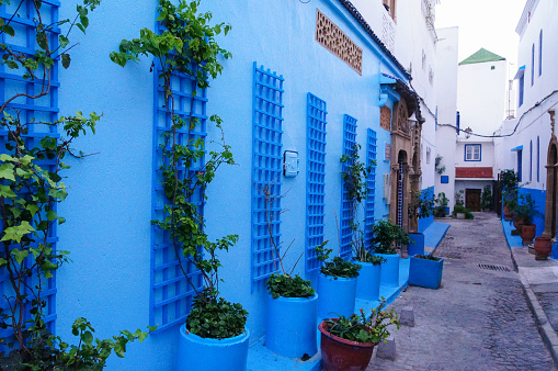 Colorful buildings of the Kasbah of the Udayas in Rabat, Morocco, Africa