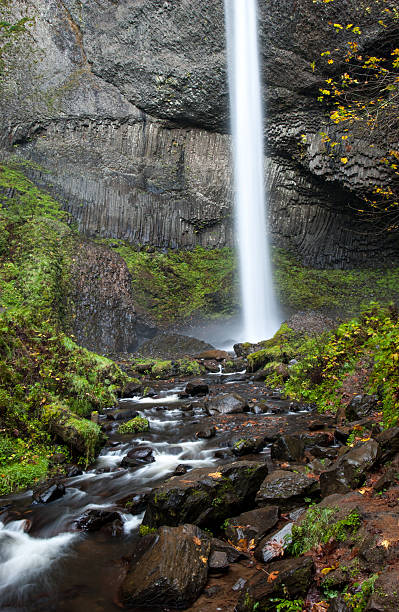 istock Latourell Falls, Columbia River Gorge, Oregon 480154631