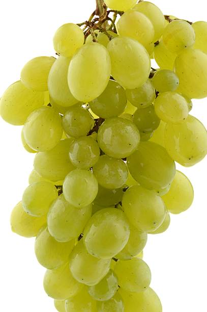 istock Hanging bunch of green grapes on white 480155204