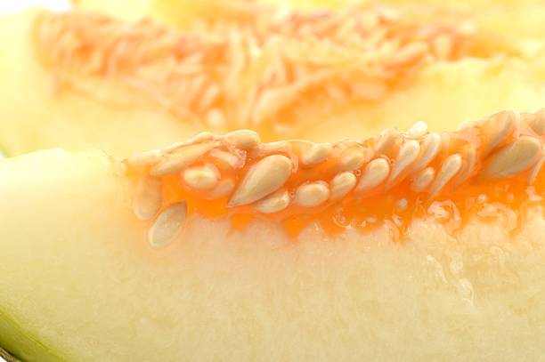 melon,Cantaloupe, Dessert, Food, Fruit, Honeydew Melon