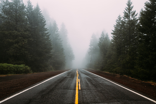 A foggy road in Oregon, USA.