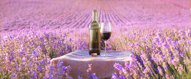 Bottle of wine against lavender landscape in sunset rays.