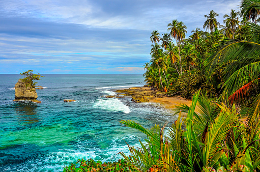 Wild caribbean beach of Costa Rica - Manzanillo - in the south of costa rica - close to Panama