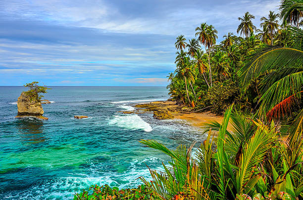 wild карибском пляже коста-рики-manzanillo - costa rica стоковые фото и изображения