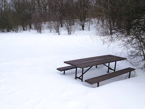 Wintry site of picnics past and more to come