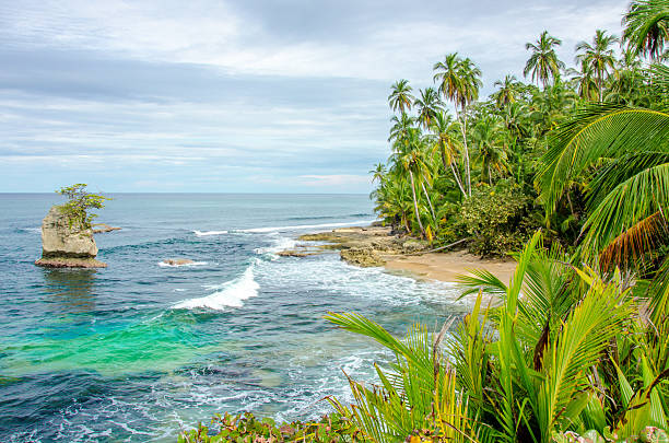 wild карибском пляже коста-рики-manzanillo - limon province стоковые фото и изображения