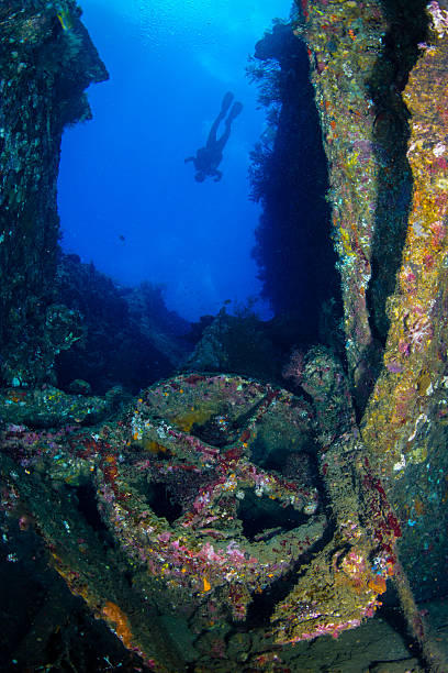 liberty 難破船のディテール - scuba diving flash ストックフォトと画像