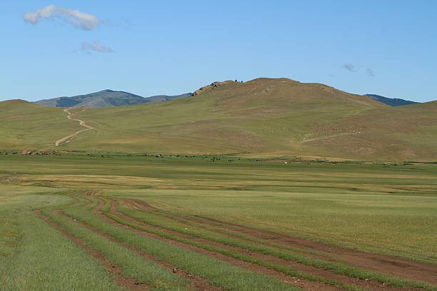 landschaften der mongolei - fahrspur photos et images de collection