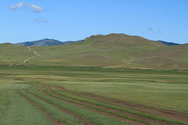 landschaften der mongolei - fahrspur стоковые фото и изображения