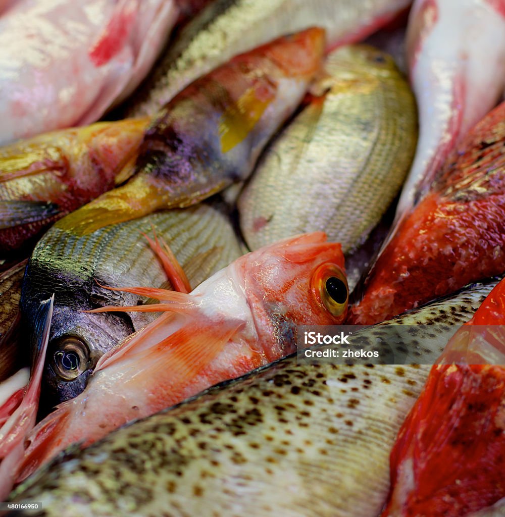 Raw Fish Background Background of Various Raw Fish with Red Mullets, Sea Bream, Trout and Dorada on Market Place. Focus on Fish Eyes 2015 Stock Photo