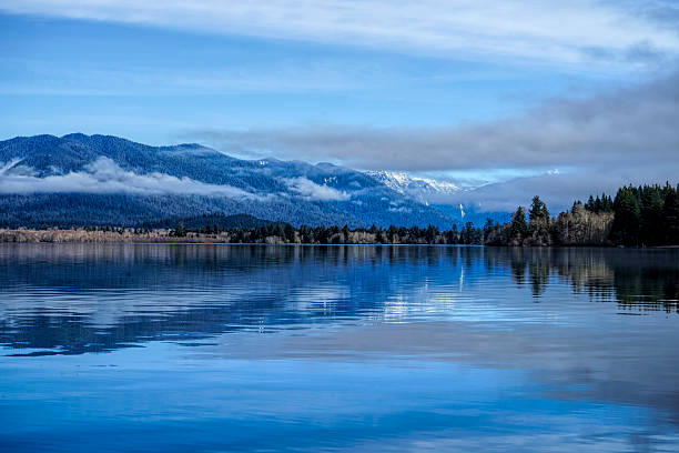 istock winter at lake Quinault 480167069
