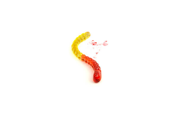 istock red marks of jelly worm 480168847