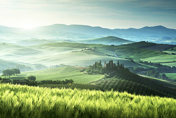 début du printemps le matin en toscane, italie - val dorcia photos et images de collection