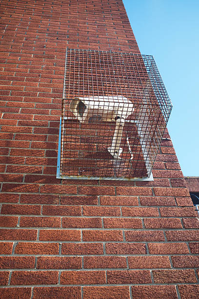 brick wall with CCTV camera protected by a metal grid vertical photo of brick wall with CCTV camera protected by a grid of metal and blue sky view from below impassable limit stock pictures, royalty-free photos & images