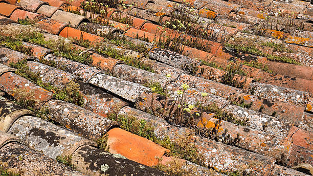 Old roman tiles with lichen stock photo