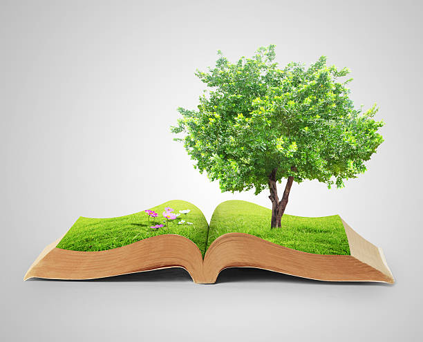 istock book of fantasy stories 480170872