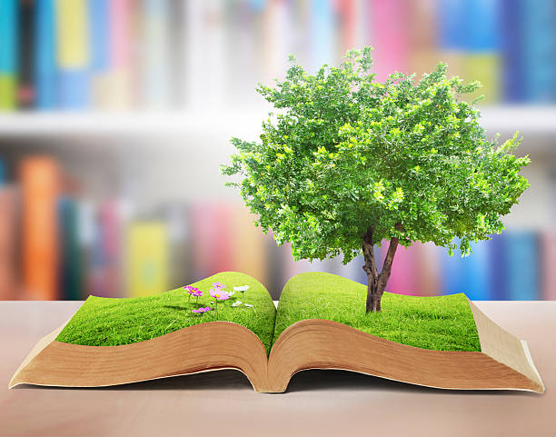 istock book of fantasy stories 480170876