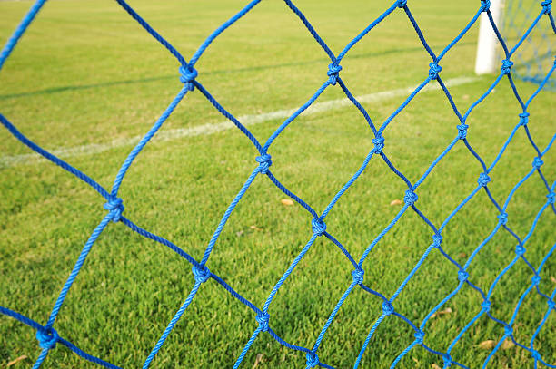istock Blue Goal net. Shallow perspective, green grass 480171017