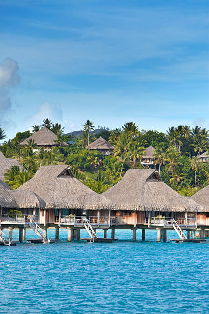 istock seacoast with palm trees and small houses on water. 480171050