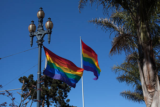 Flaglets Raimbow 20+ Raibow Flag Stock Photos, Pictures & Royalty-Free Images - iStock