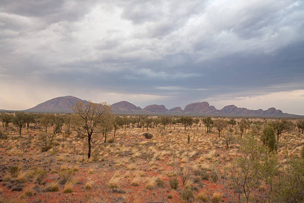 istock KIngs Canyon, Australia - Stock Image 480178760