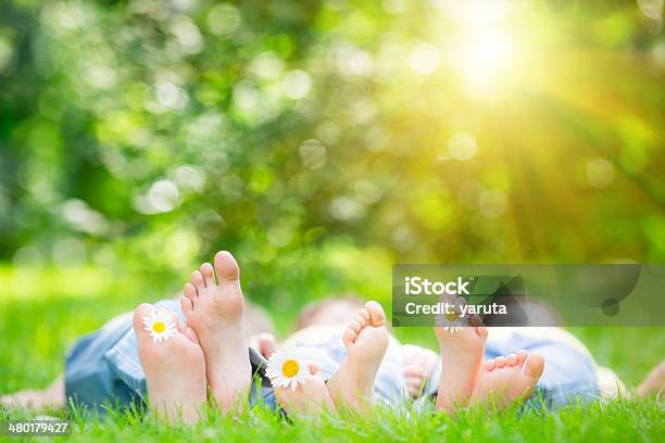 Familie Liegen Auf Dem Grass Stockfoto und mehr Bilder von Blume - Blume, Gras, Kind