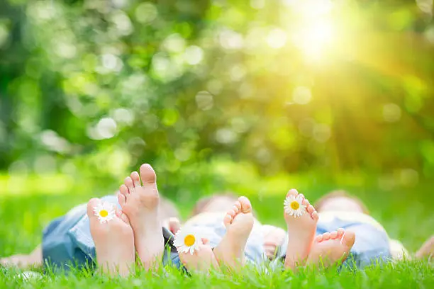 Photo of Family lying on grass