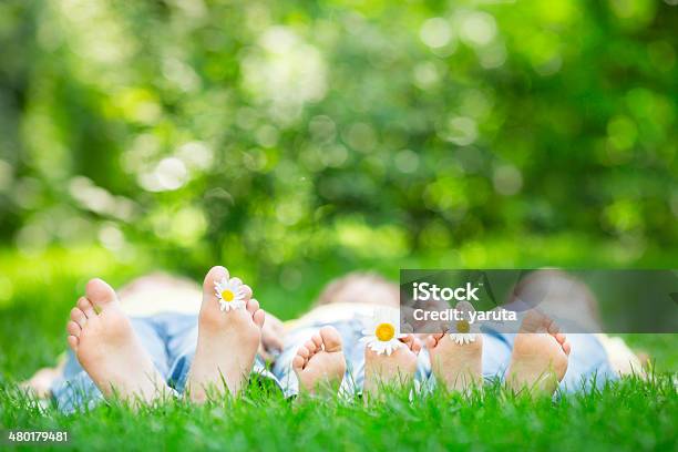 Foto de Família Deitado Na Grama e mais fotos de stock de Bebê - Bebê, Brincar, Criança