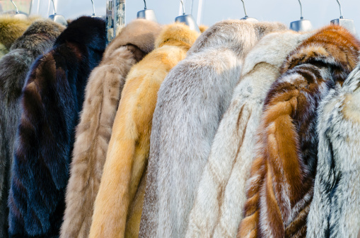 Row of coats made of animal fur