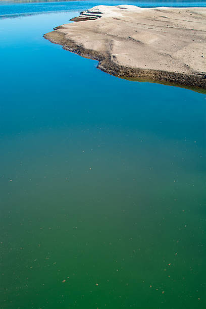 istock sandbank of river in water foreground 480183740