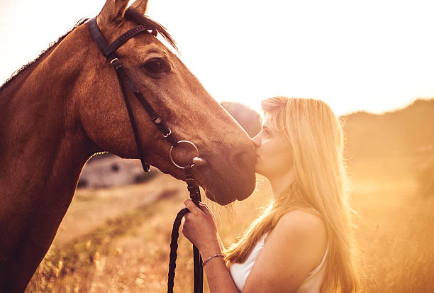 istock Young woman with a horse in nature 480186338