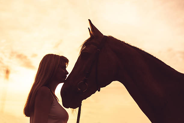 istock Young woman with a horse in nature 480186818